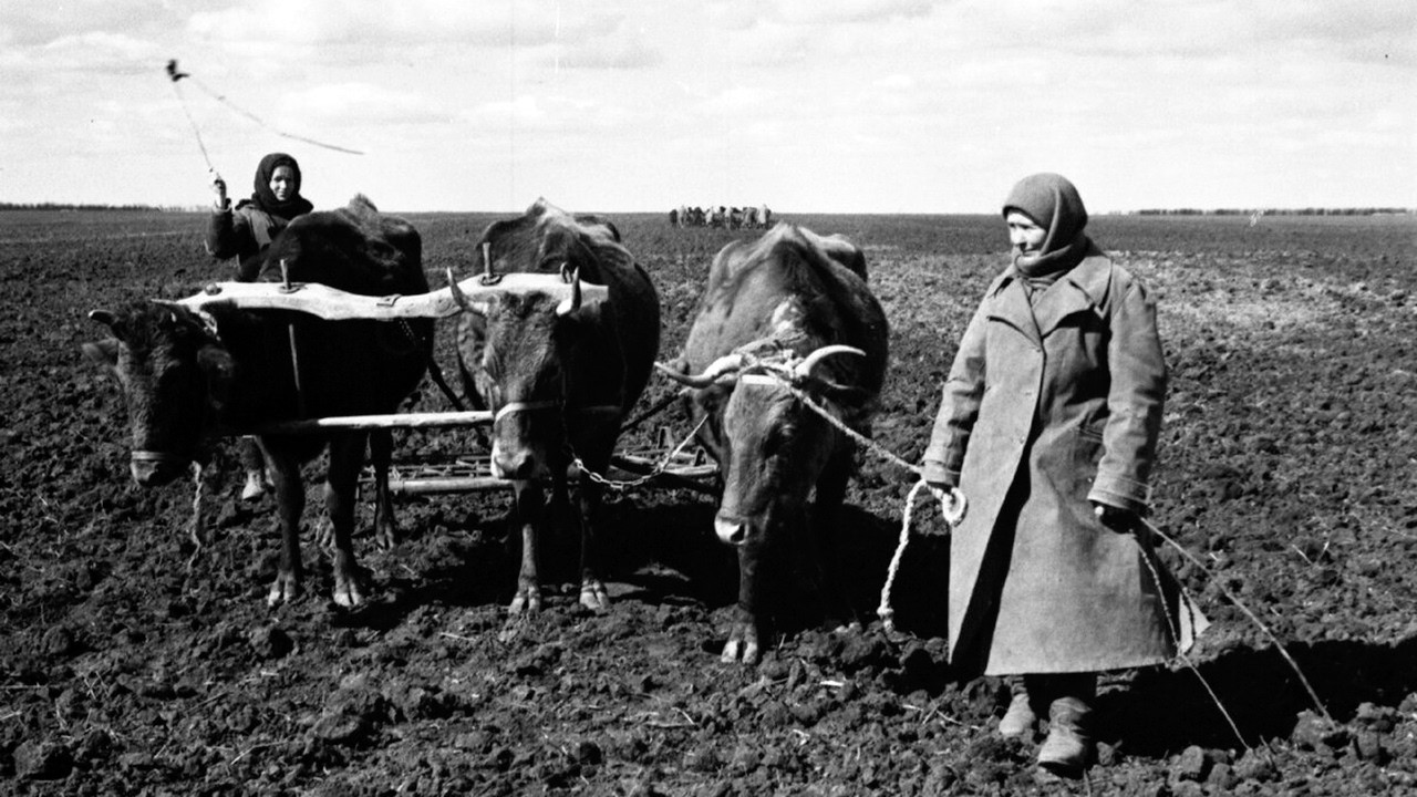 Голод в СССР 1946-1947, несмотря на победу в войне. Почему его скрывали?