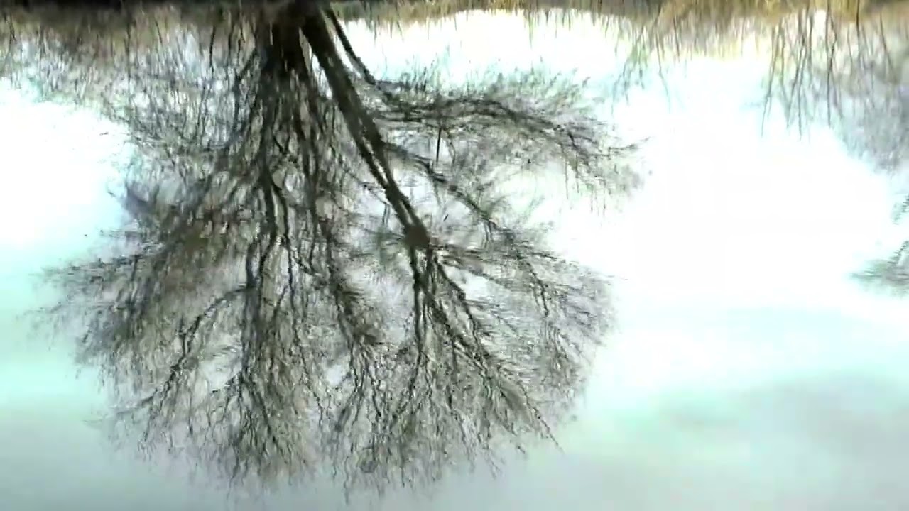 “Normcore Dreams 002” 🌫️ Subtle & Memorable Backing Groove | TrickyTrax