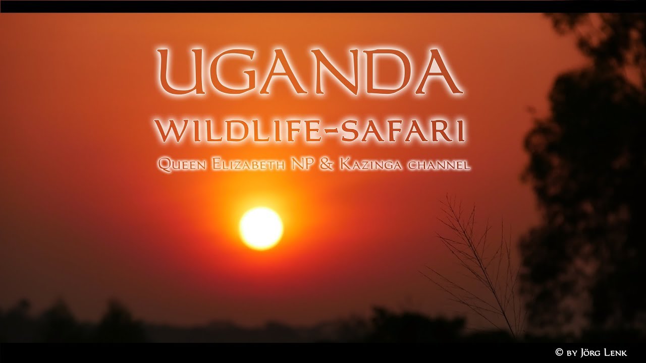 UGANDA wildlife - 