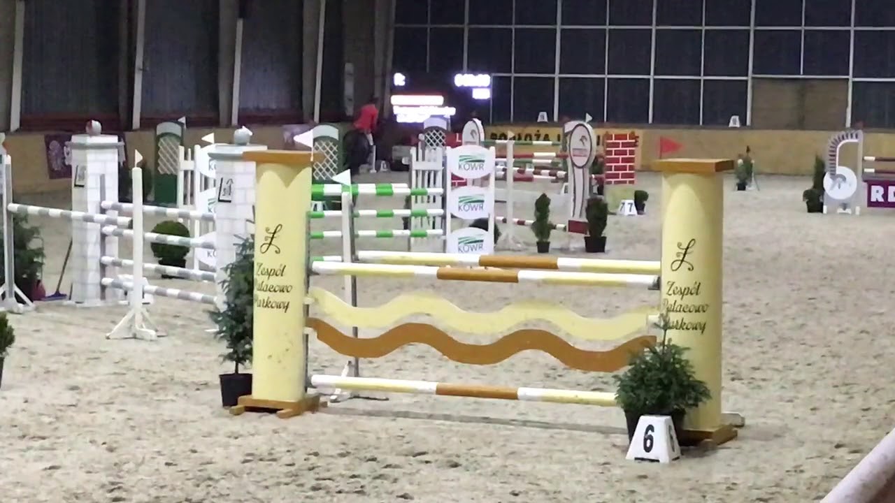 Zet Blue (Chacco Blue-Zandor Z) 130 HZO Łąck 2018