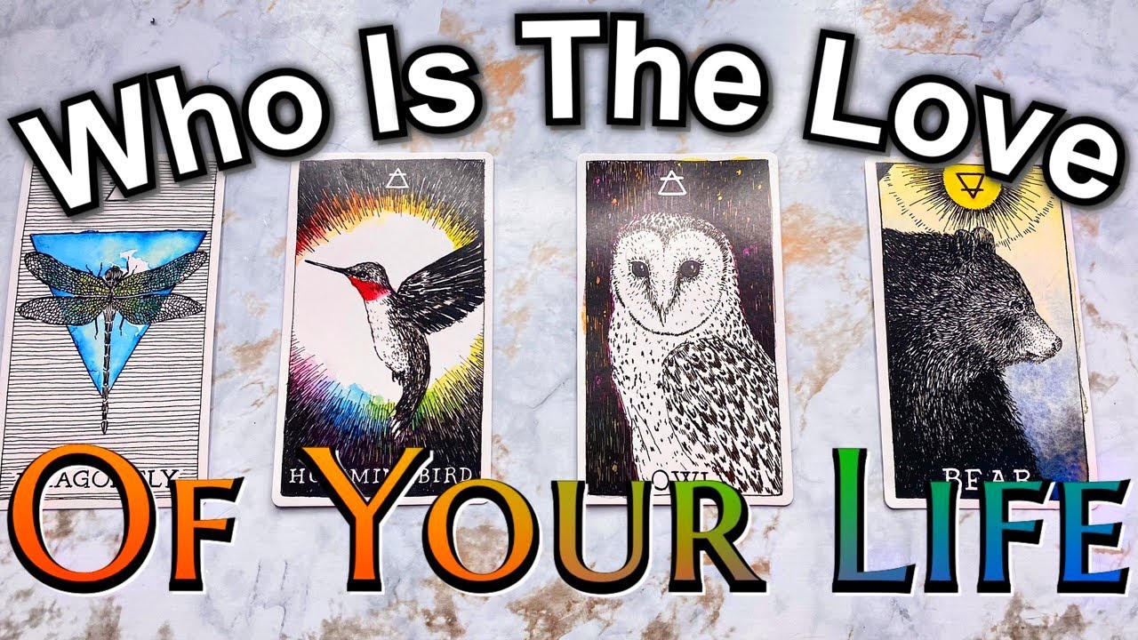 ✨🌈 WHO IS THE LOVE OF YOUR LIFE | PICK A CARD