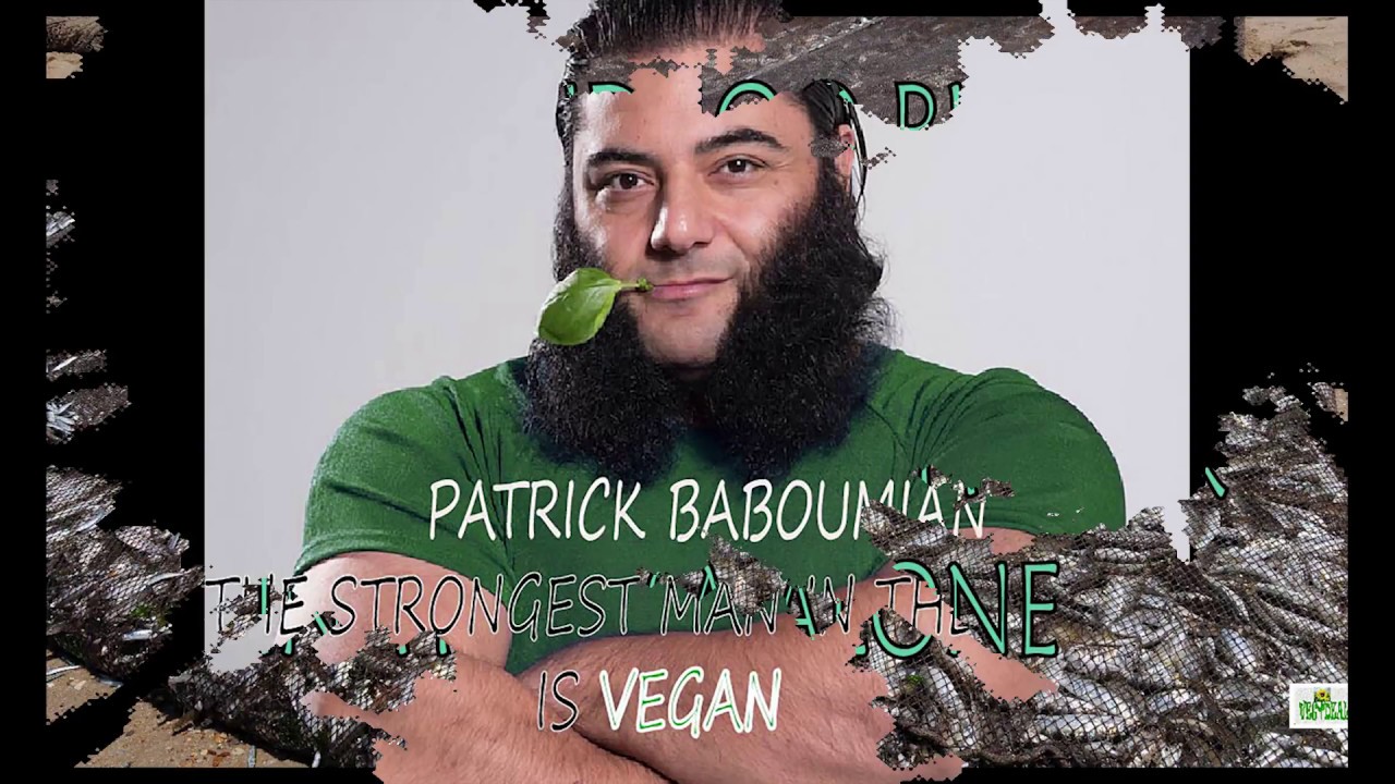 VEGANISM INTERESTING FACTS ABOUT VEGANISM   VEGANESIMO