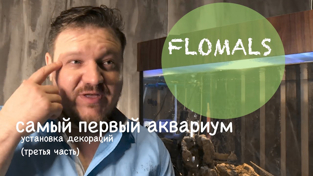 ОФОРМЛЕНИЕ АКВАРИУМА-УСТАНОВКА ДЕКОРАЦИЙ