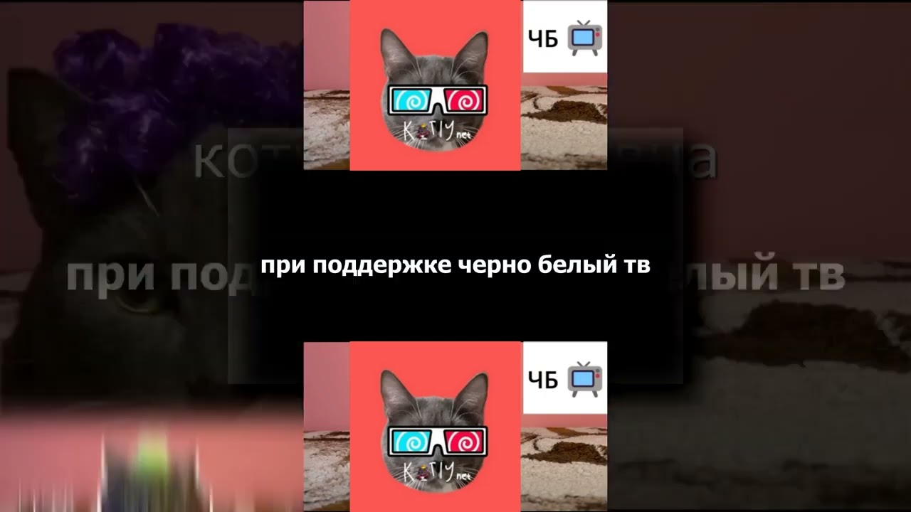 (YTPMV) Заставка Котинет 2023 in YTPMY Scan (перезалив)