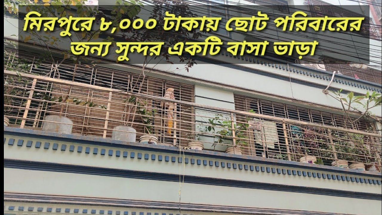 মাত্র ৮ হাজার টাকায় দুই রুমের ফ্ল্যাট নিচতলায় ভাড়া। মিরপুর।
