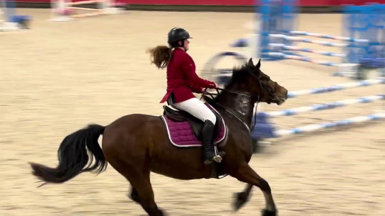 KAOMA DU BUHOT - ST-LÔ - PONEY 2 - FÉVRIER 2026