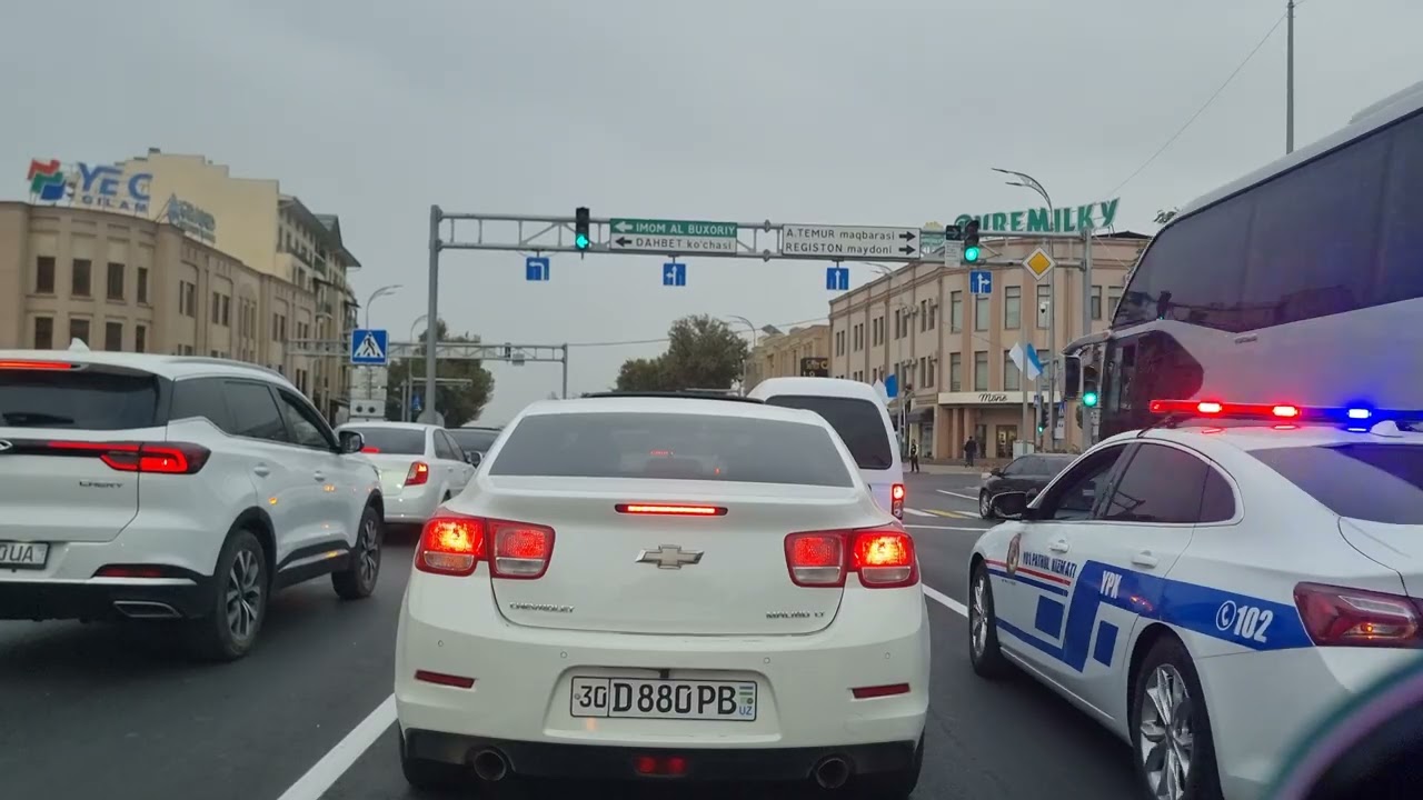 29 октября 2025 г.