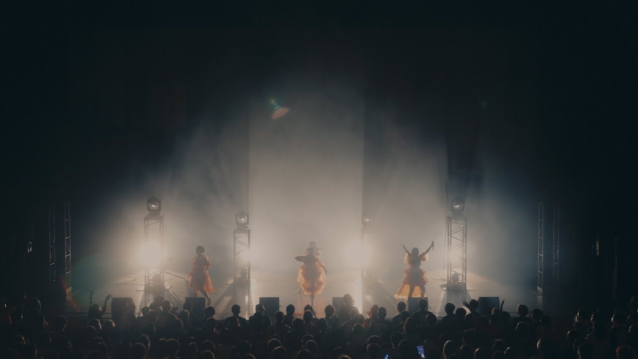 fishbowl 「猛獣/踊子」Live Video (1st oneman live「オランダシシガシラ」)