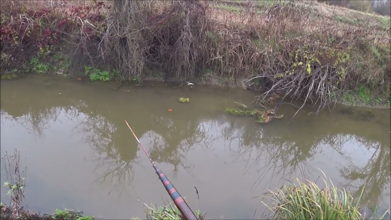 SBROCCATA sul siluro