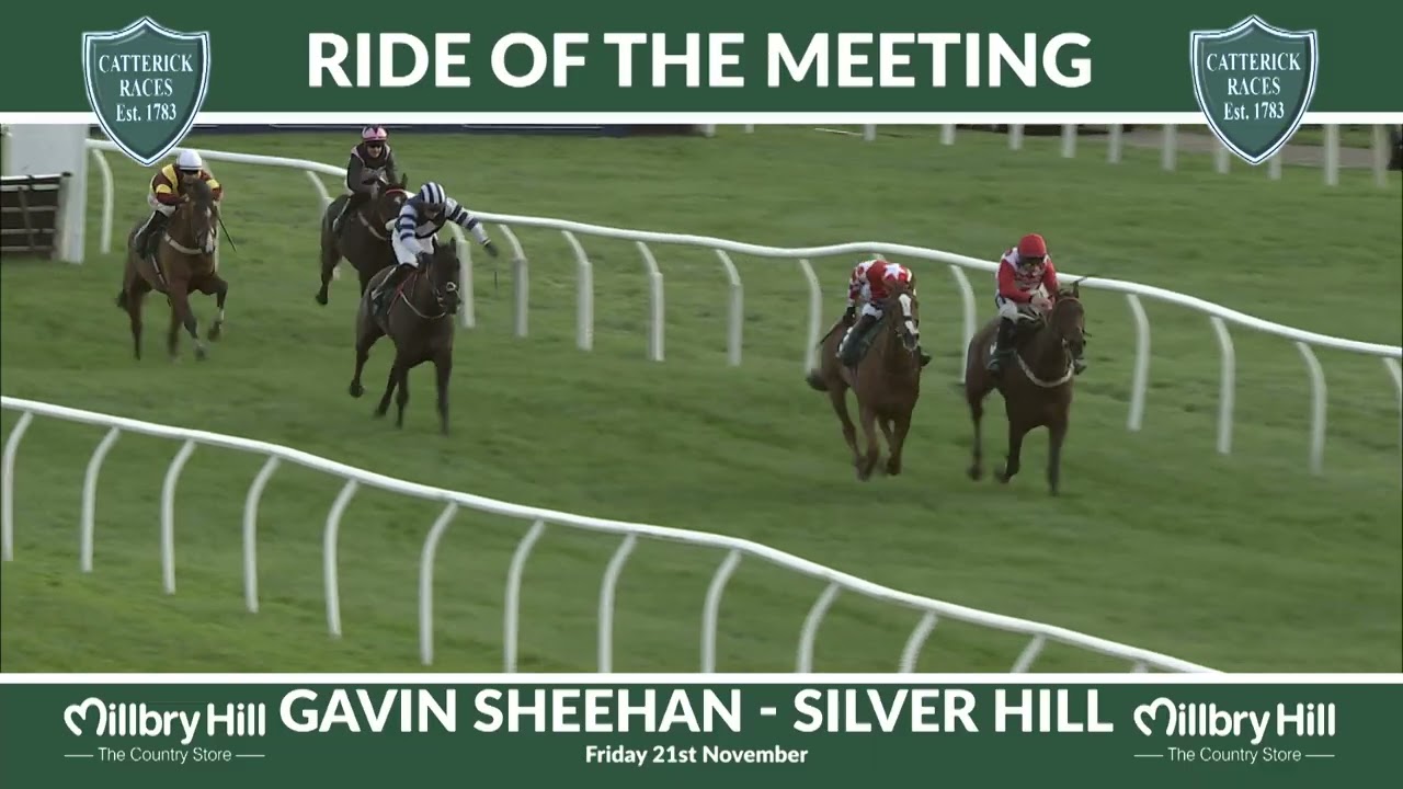 Millbry Hill Ride of the Meeting | 21st November - Gavin Sheehan