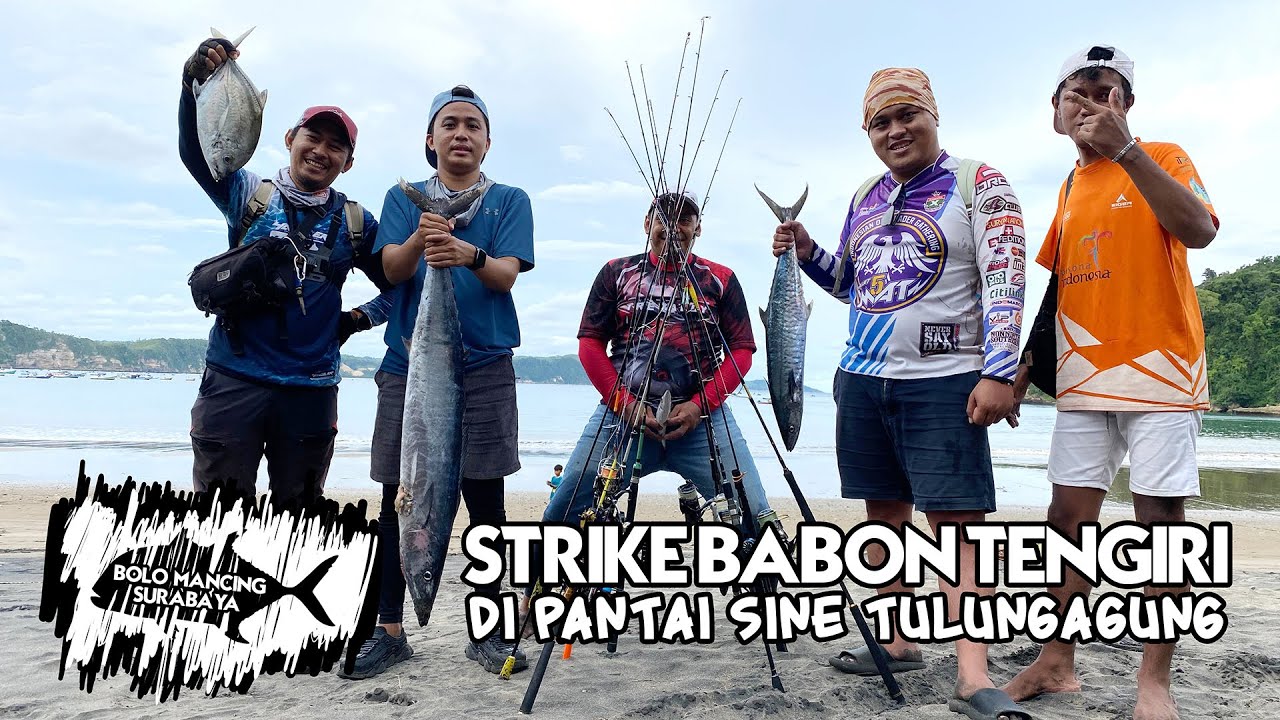 STRIKE BABON TENGIRI DI PANTAI SINE TULUNGAGUNG