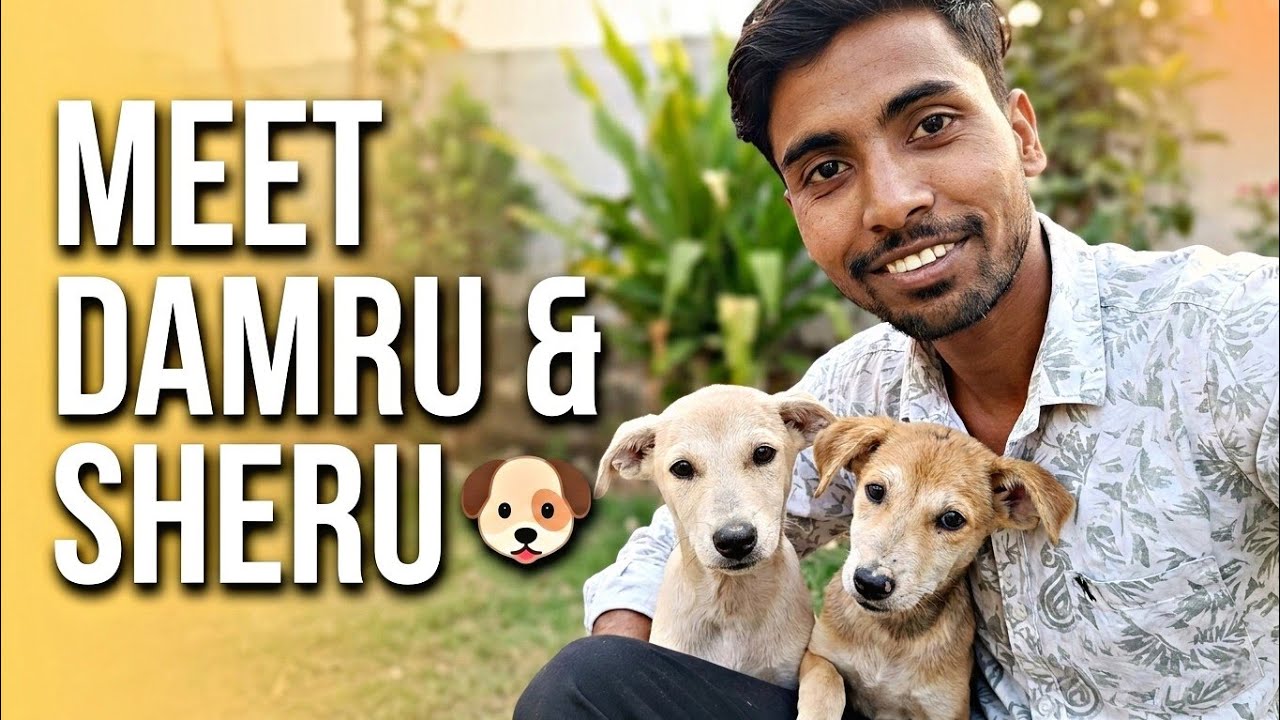 Day 27 | Meet Damru & Sheru 🐶 | A Simple Day from My Discipline Journey