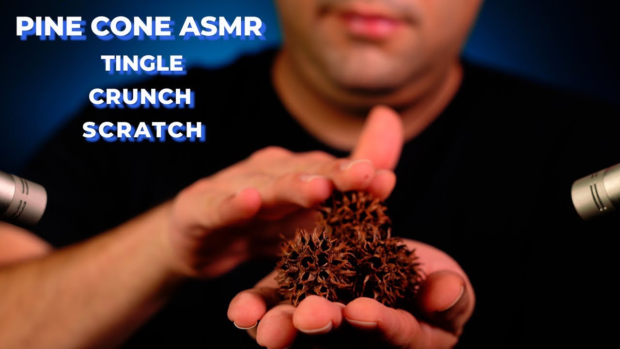 ASMR | Deep Tingles with ASMR Pine Cone Sounds 🌲  Natural Crunches & Scratches | No Talking