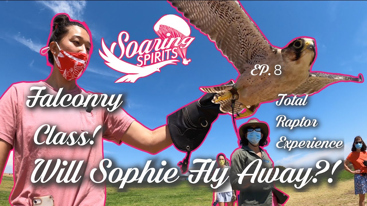 Falconry Class! Total Raptor Experience teaches us about falcons! Plus Sophie runaway?!?
