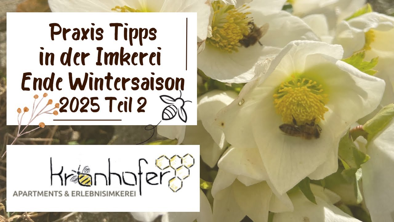 16. Praxis Tipps - Weisellos beim Auswintern