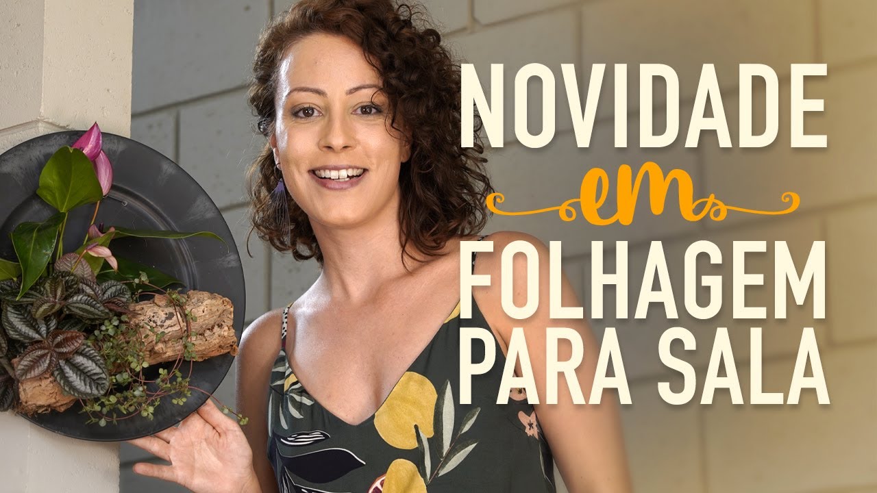 PILEA: conheça mais espécies e faça um ARRANJO