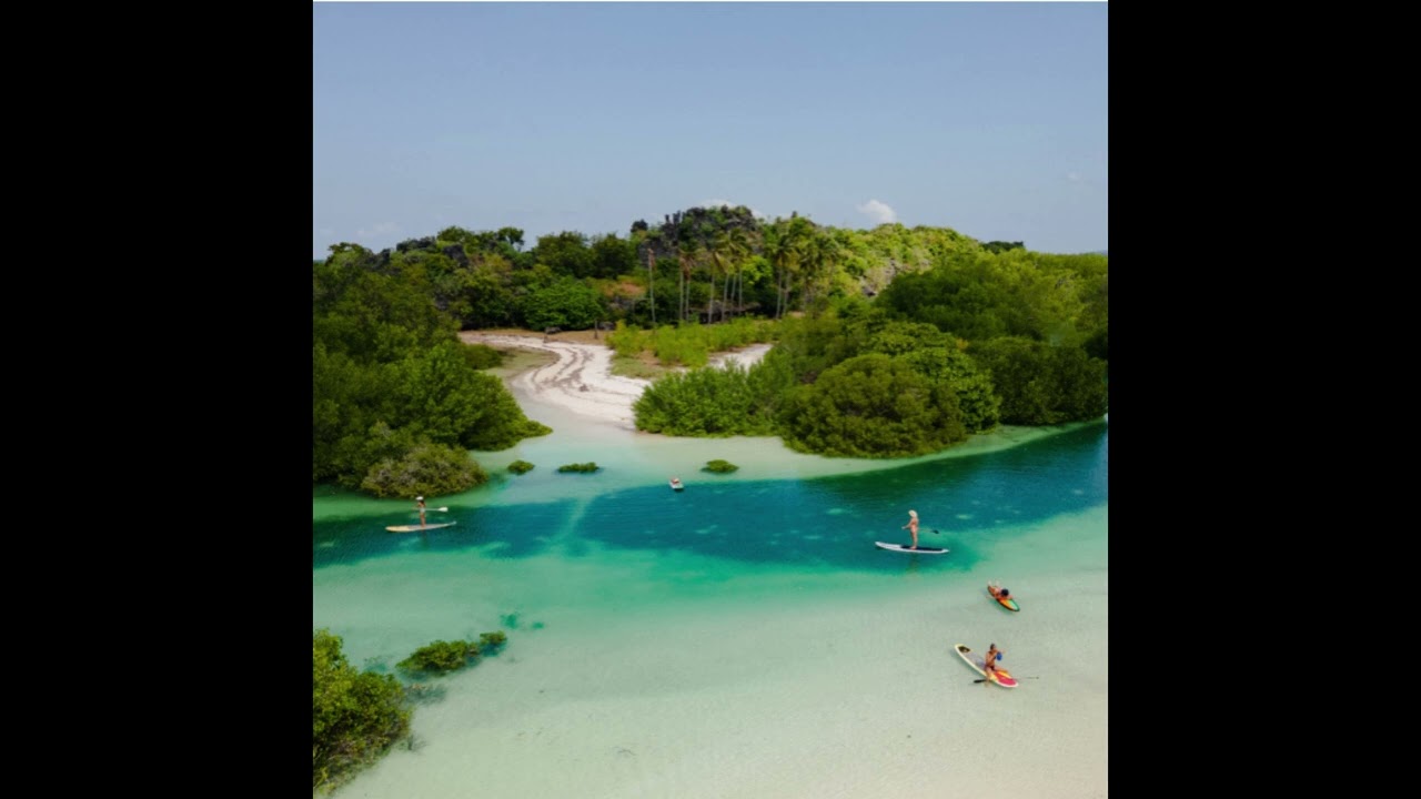 Pahlawan kecil Rote Island