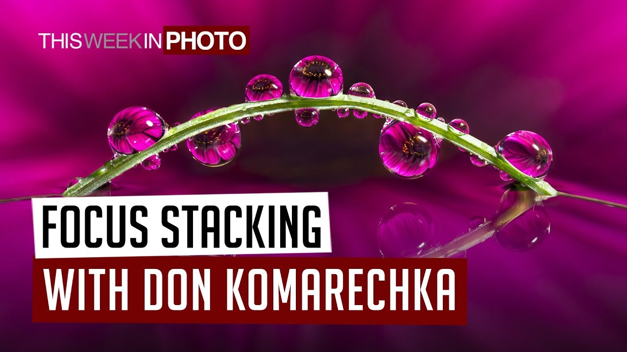 Watch Me Work - Don Komarechka - Focus Stacking