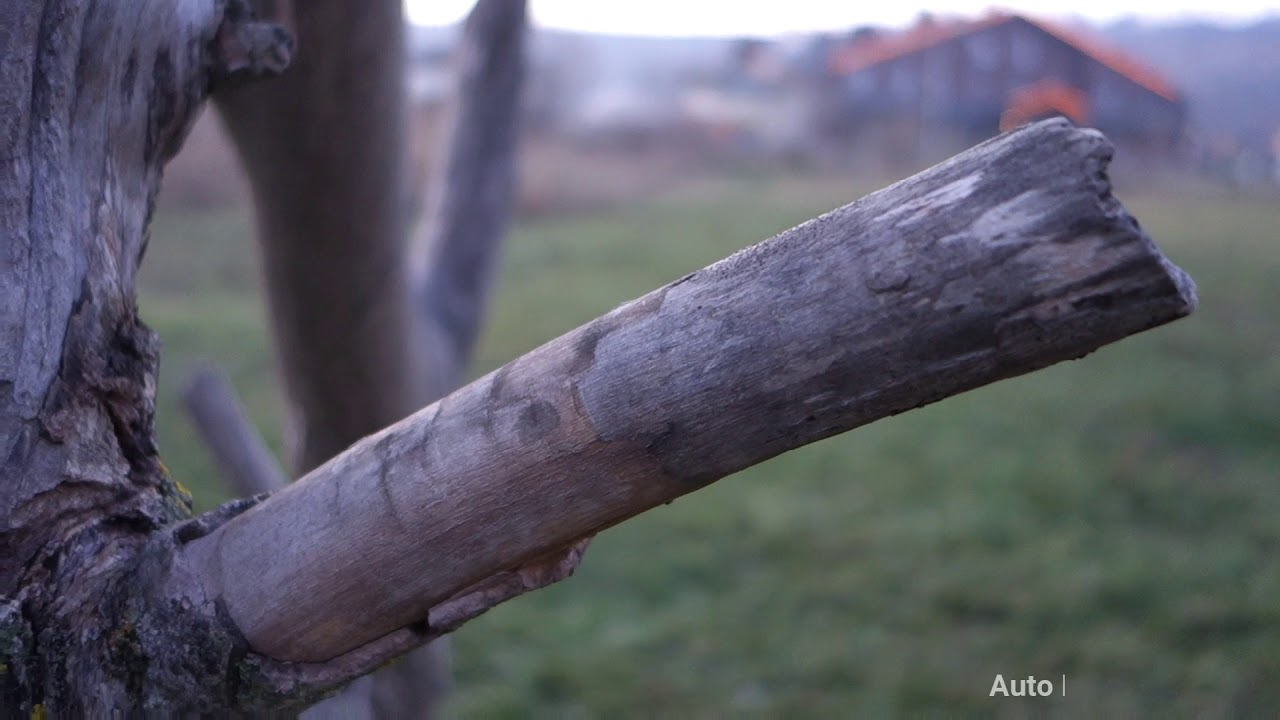 Sony DSC QX100 Video test, Low Light, Zoom, Sample Video