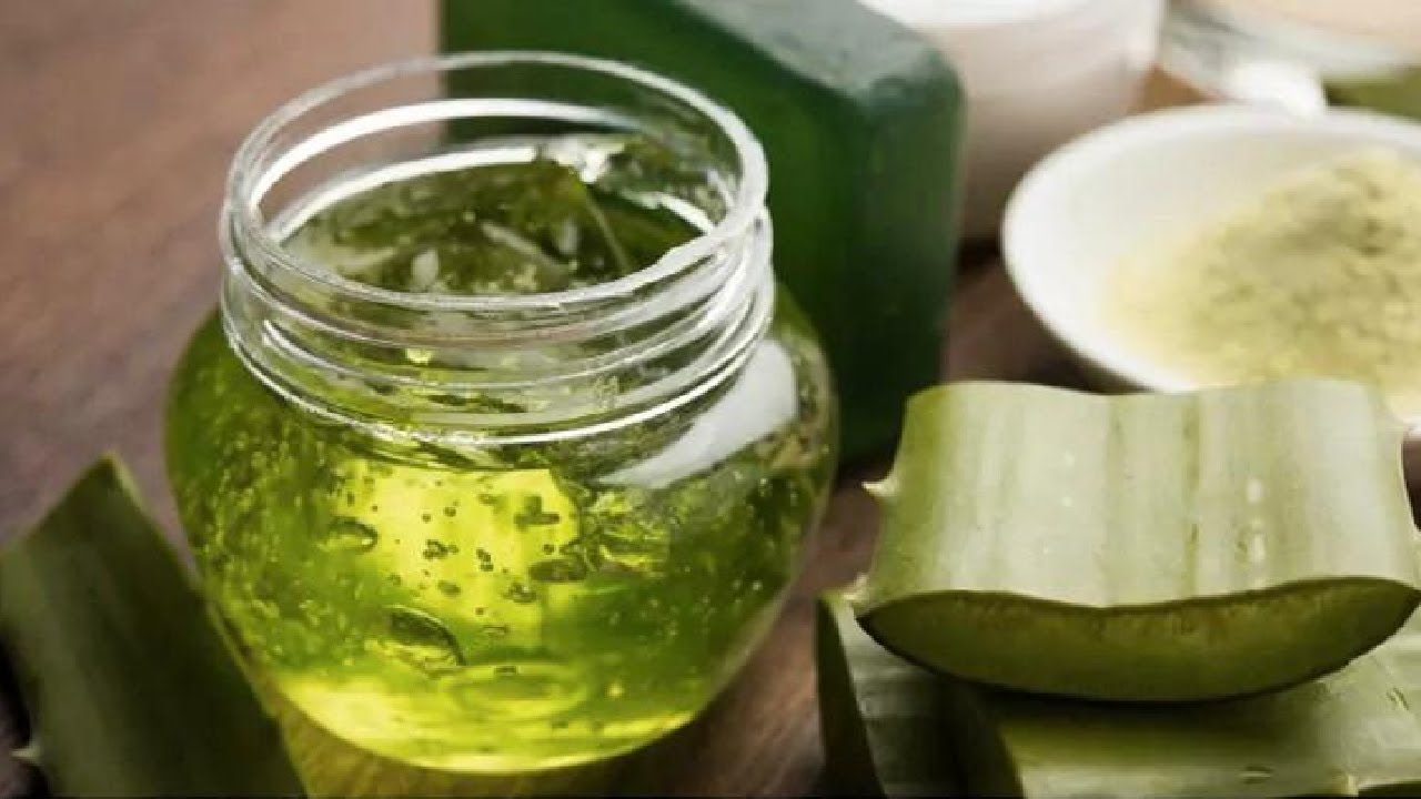 2 maneiras de fazer gel de BABOSA orgânico puro em casa