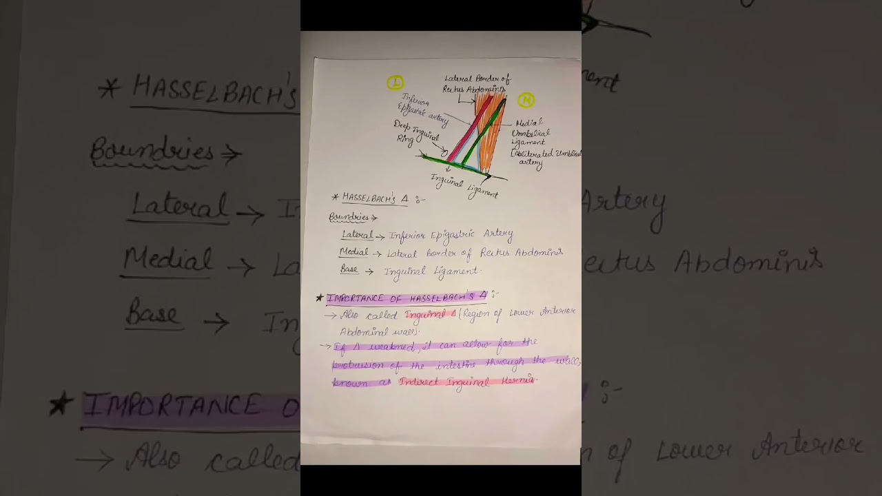 HASSELBACH's TRIANGLE