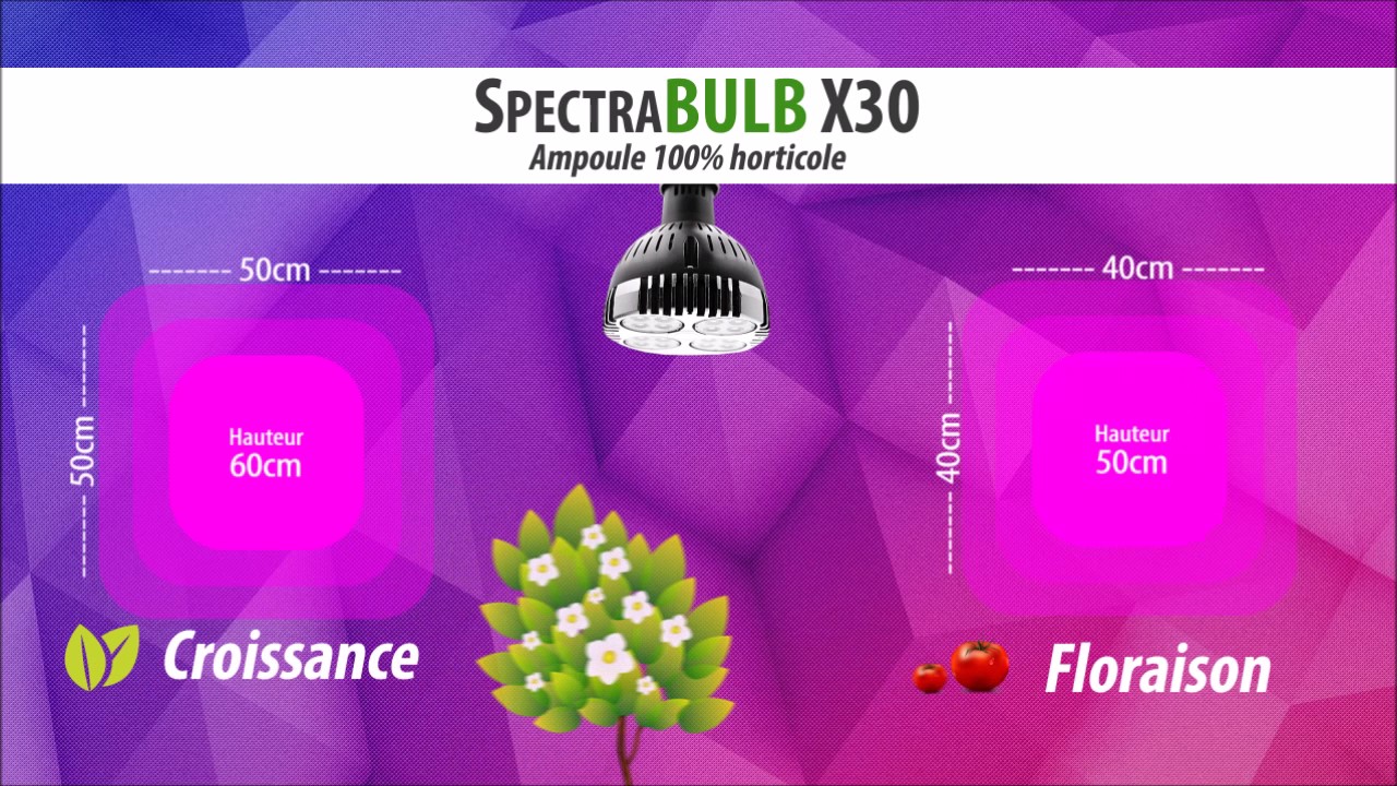 SpectraBULB X30 - Pr&eacute;sentation ampoule horticole LED