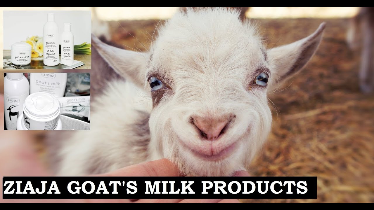 ZIAJA: GOAT'S MILK PRODUCTS