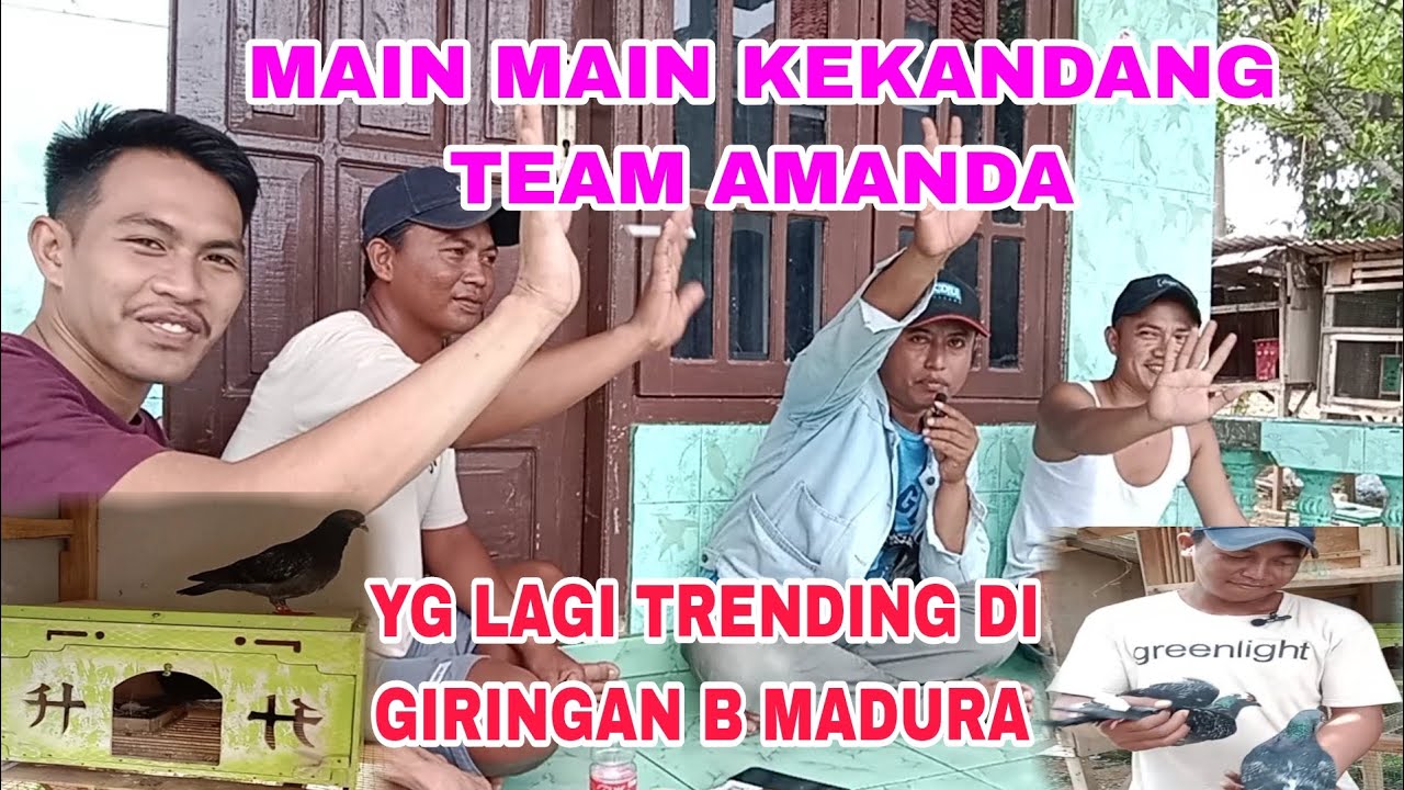 team Amanda yg lagi trending di giringan B 15 NOV 11 2022