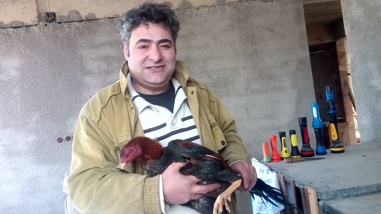 Hint horoz özellikleri'ni farklılıklarını anlatmaya çalıştık