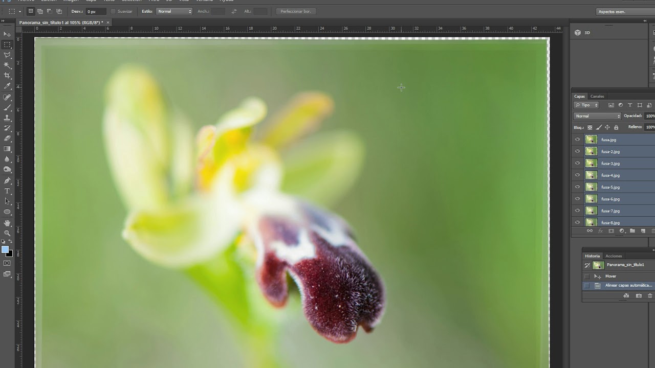 Apilado por enfoque en Photoshop - Focus stacking