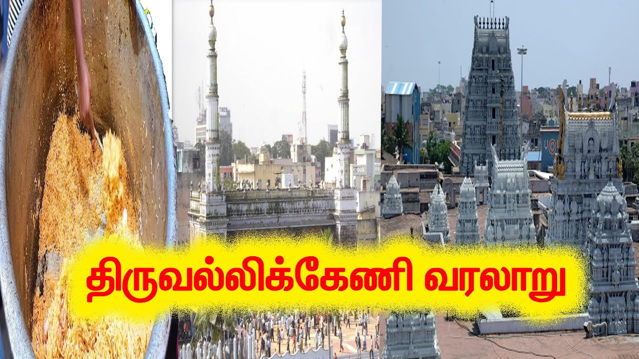 திருவல்லிக்கேணி வரலாறு | TRIPLICANE HISTORY | CHENNAI | TRIP TO LEARN#40