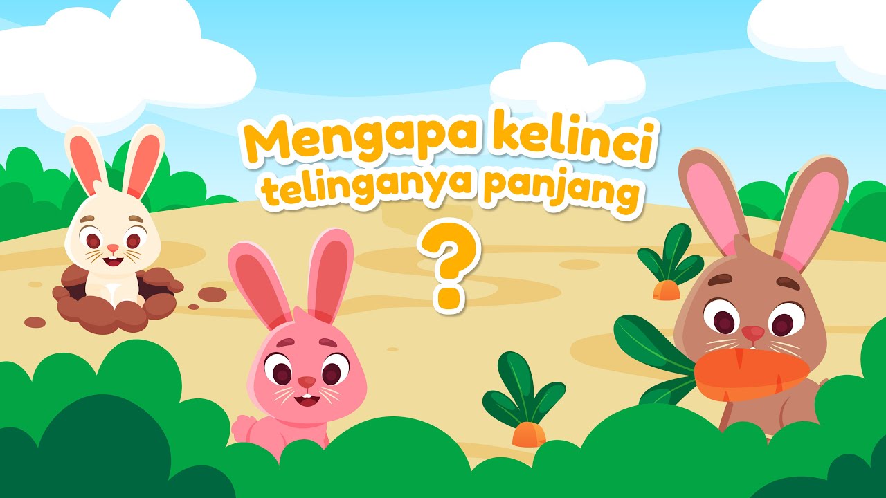 Mengapa Kelinci Telinga Panjang? 🐰ྀི🐇 | Edukasi Anak Indonesia | Kartun Anak Indonesia | Baby Song