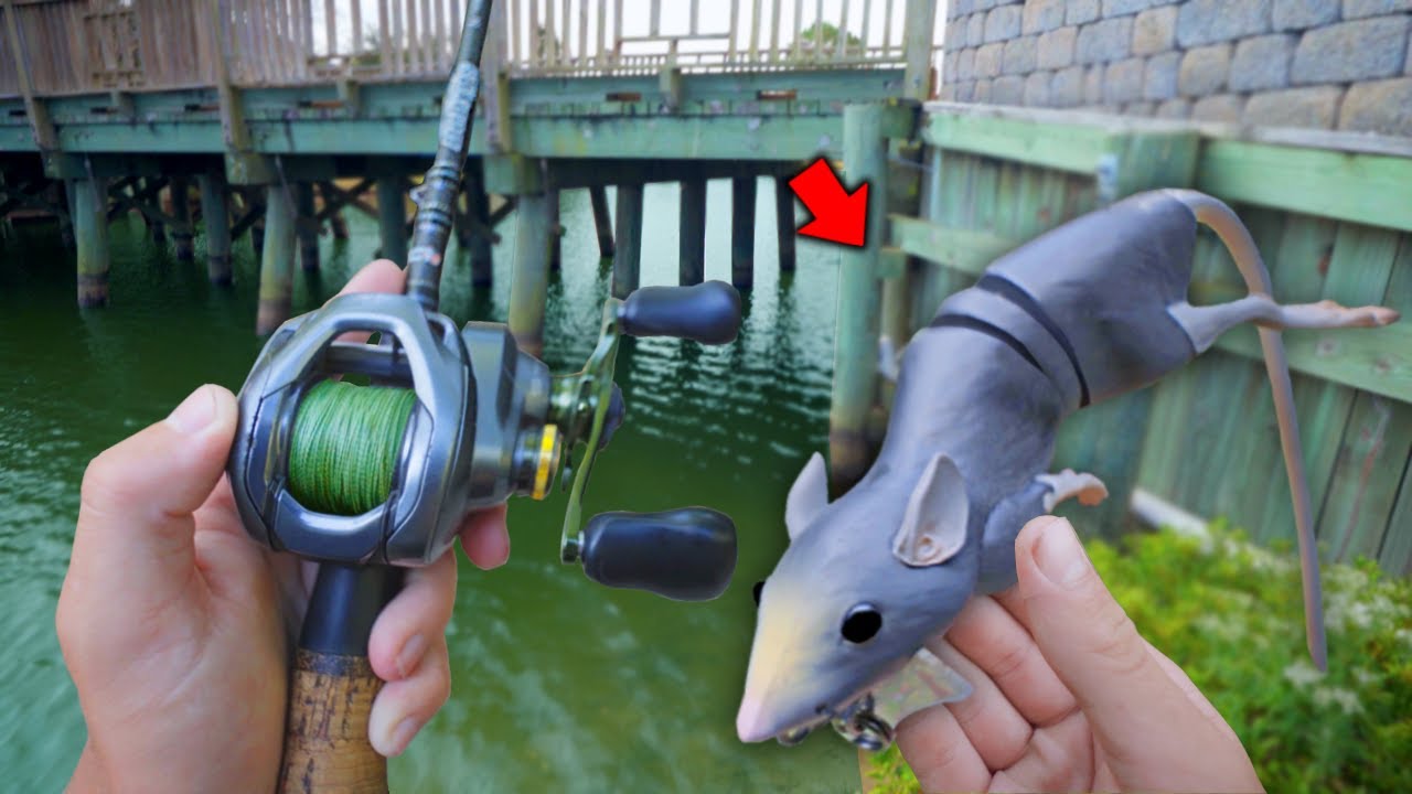 Fishing GIANT CRAZY Lures In Urban Ponds! (Bank Fishing)