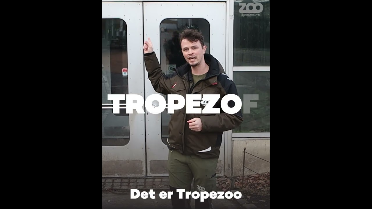 Gråt og vådt? Ingen grund til at blive hjemme!