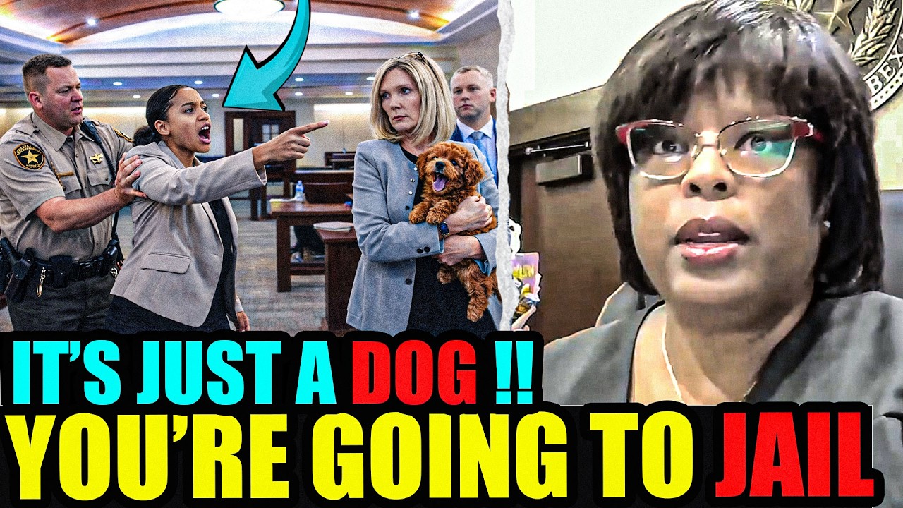 Judge Boyd STUNNED by Smug Lawyer Pushing a Wild Argument in a Shocking Dog Case