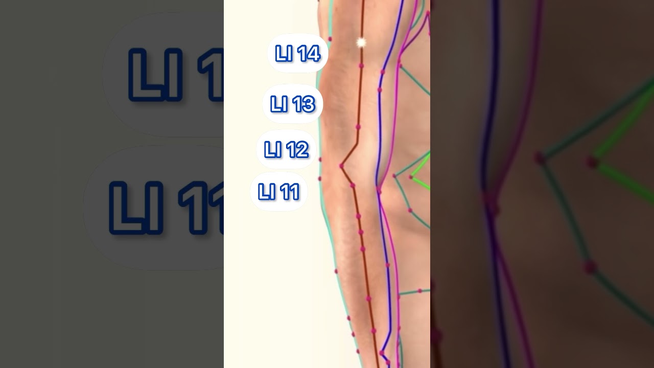 Large Intestine Meridian Acupuncture Points 