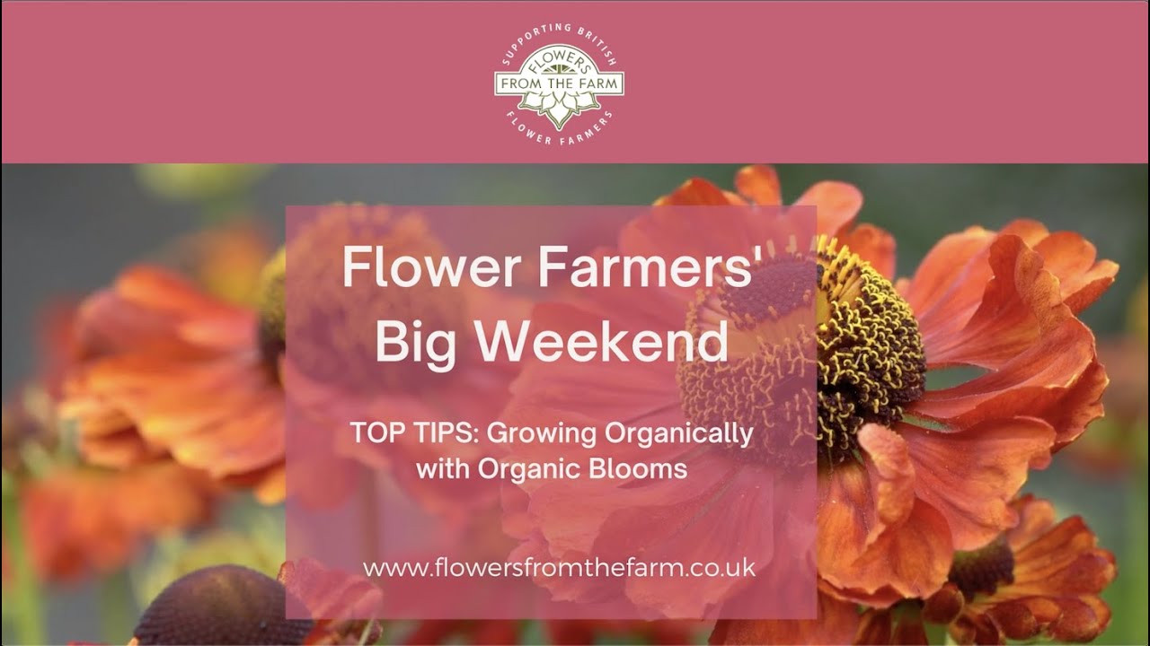 Growing Organically with Jo Wright & Wendy Paul of Organic Blooms | Flower Farmers' Big Weekend 2020