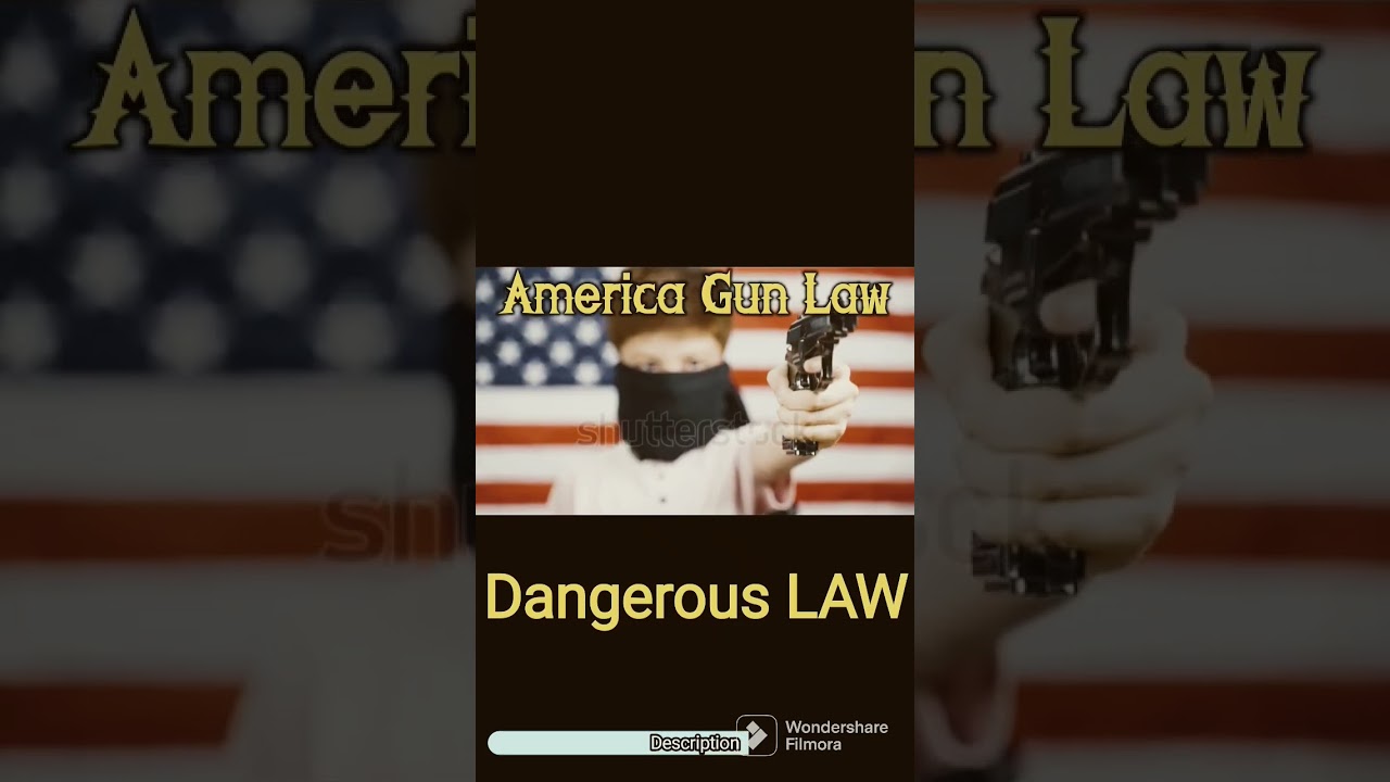 Exploring the Complexity of US Gun Laws"