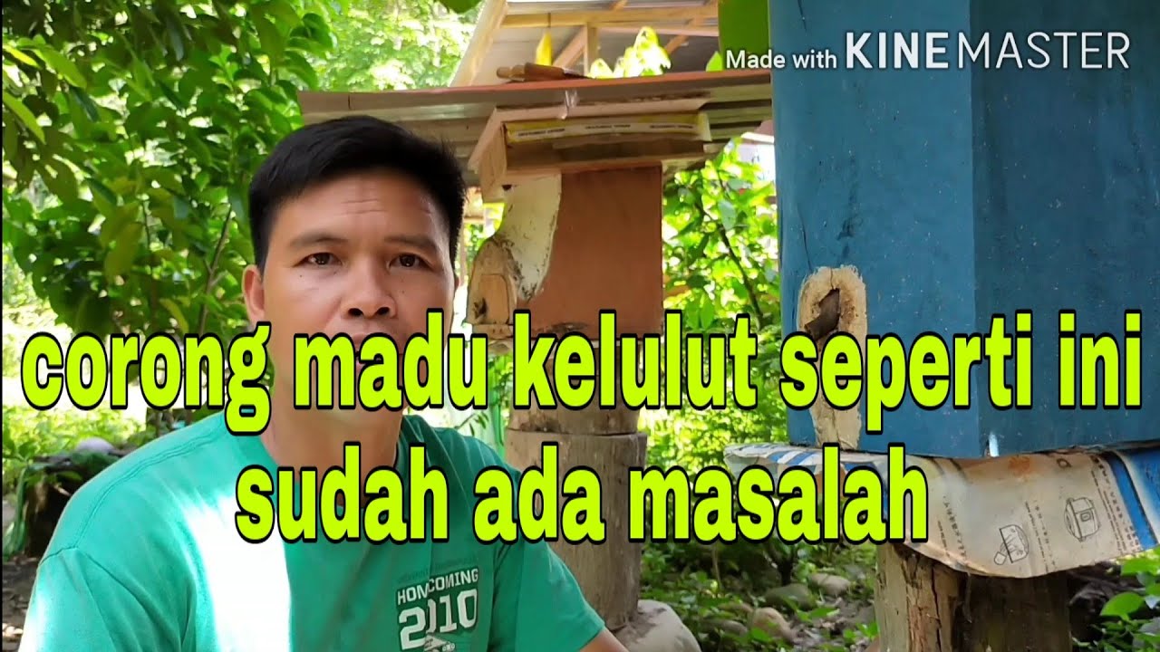 Corong madu kelulut itama yang bermasalah
