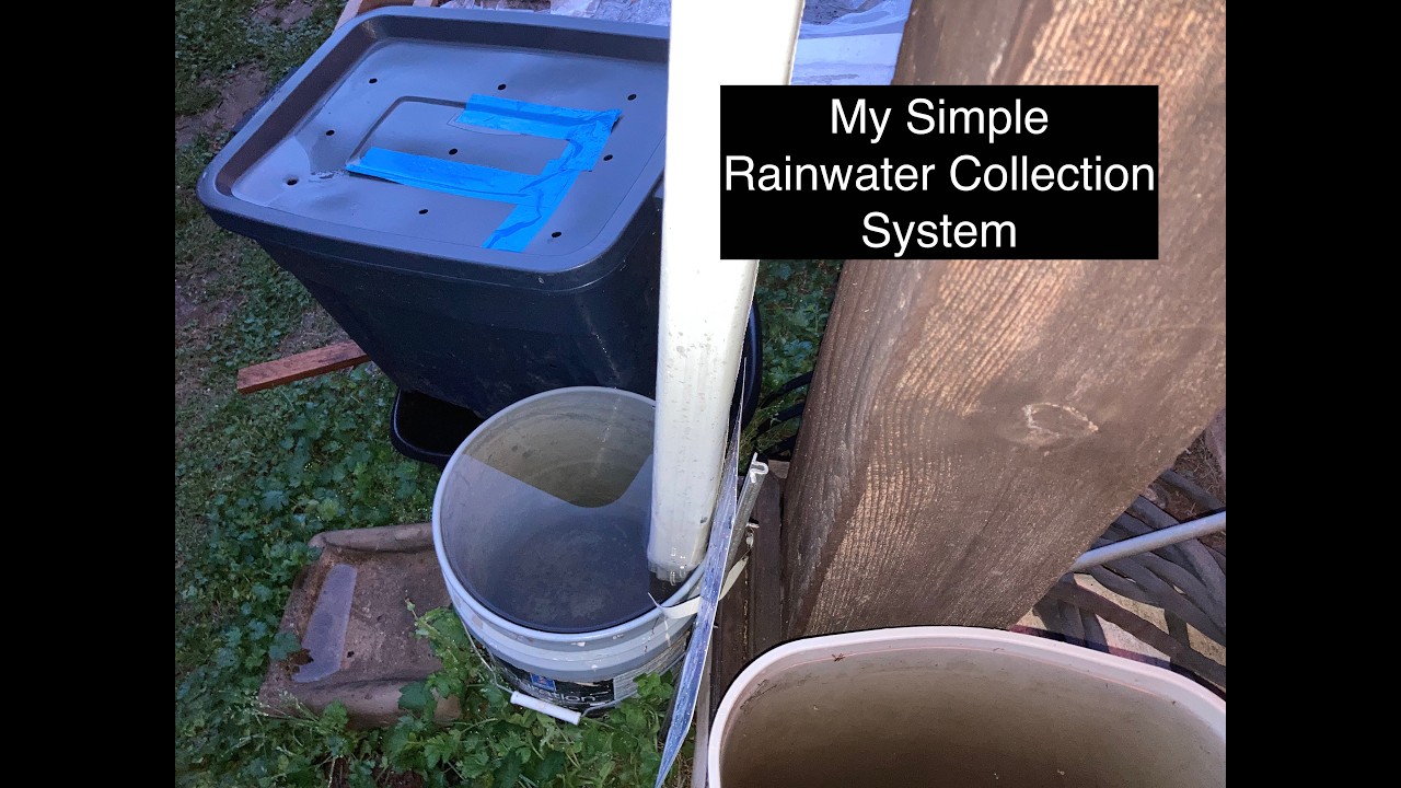 How to make a simple rainwater collection system