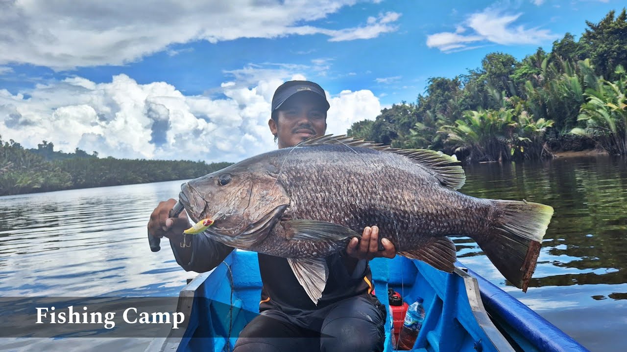 SAYA TIDAK SALAH PILIH REEL DAIWA TATULA 300,TERBUKTI NAIKKAN MONSTER BLACKBASS 10KG UP !! PART1