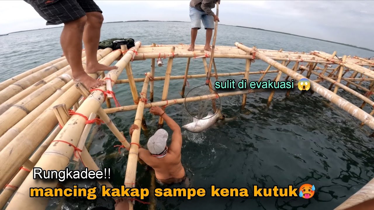 Rungkad!! Ternyata kutukan mancing kakap putih benar adanya 🥵