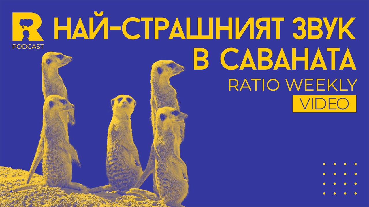 Ratio Weekly: Най-страшният звук в саваната