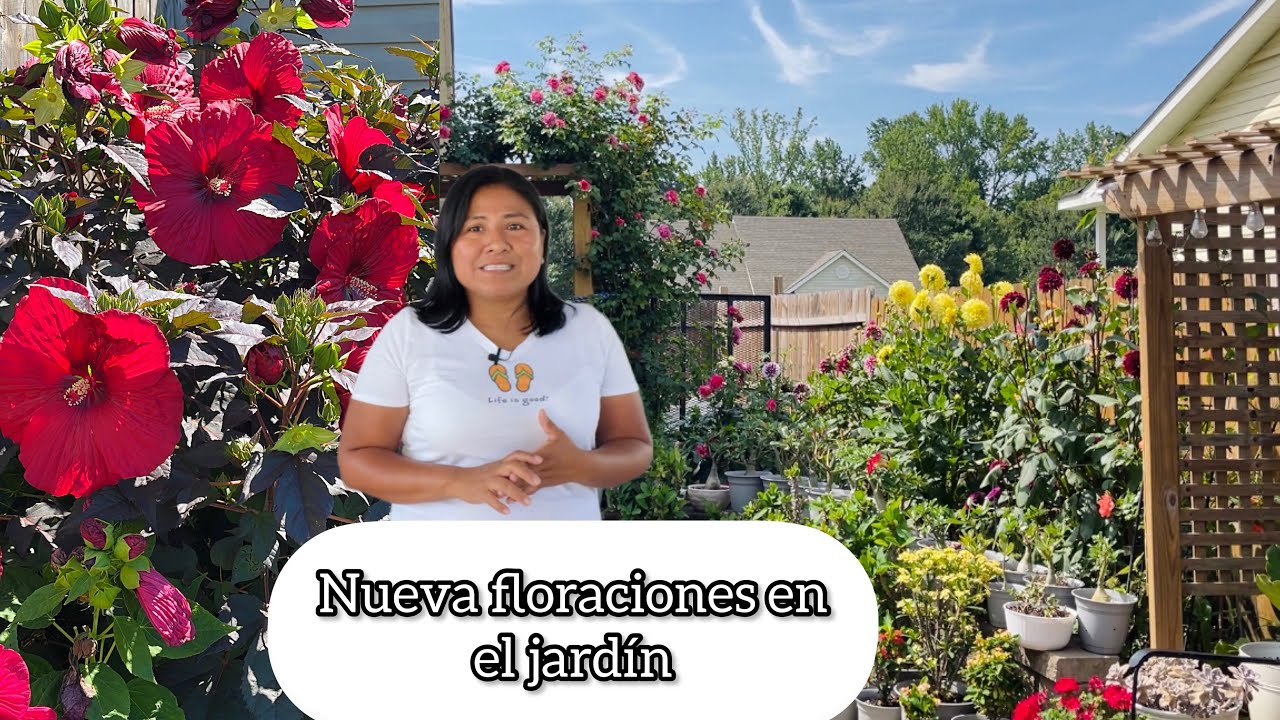 ESTAS PLANTAS CRECEN BONITAS EN VERANO  Recorriendo el jardín