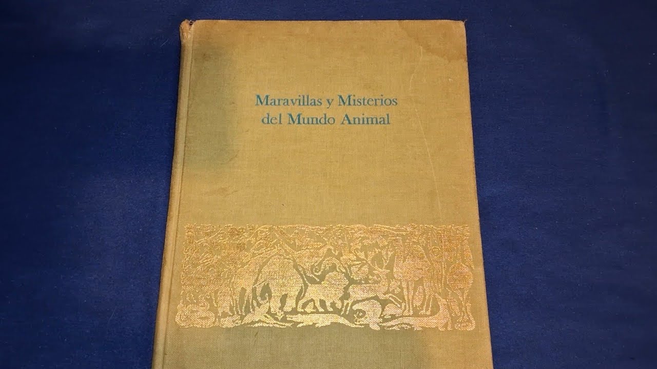 Maravillas y Misterios del Reino Animal