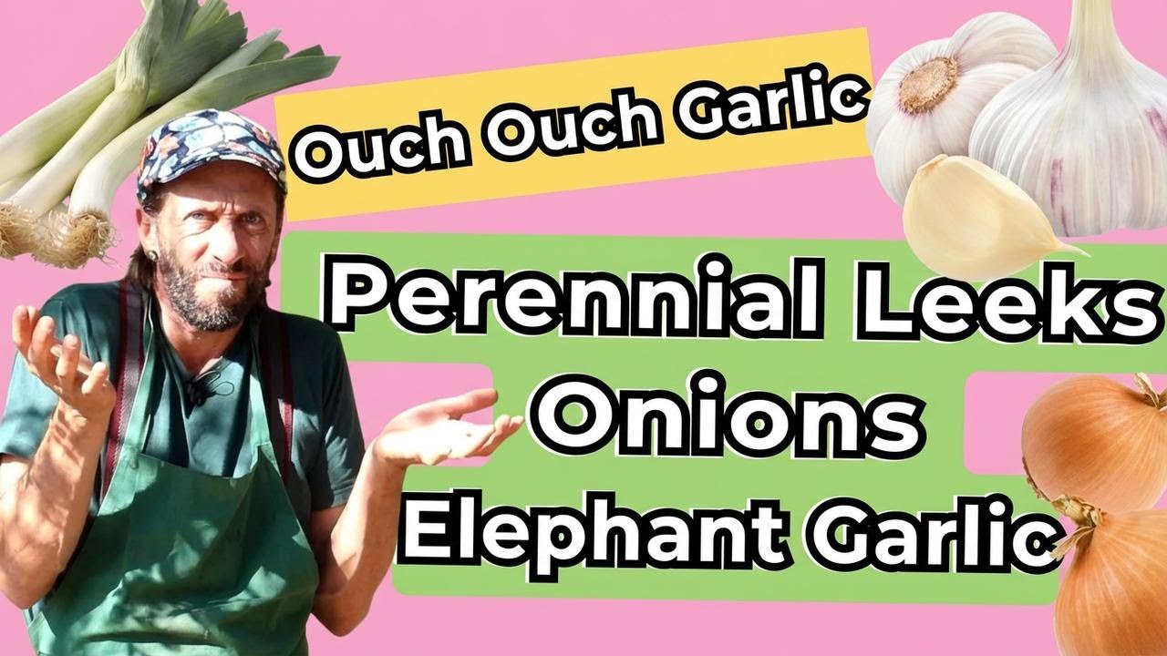How to Easily Tell Apart Perpetual Leeks, Onions, and Elephant Garlic
