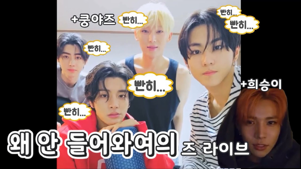 [엔하이픈/정원/제이크] 여의즈 보러 들어와여의 (+쿵야즈/햄승이)