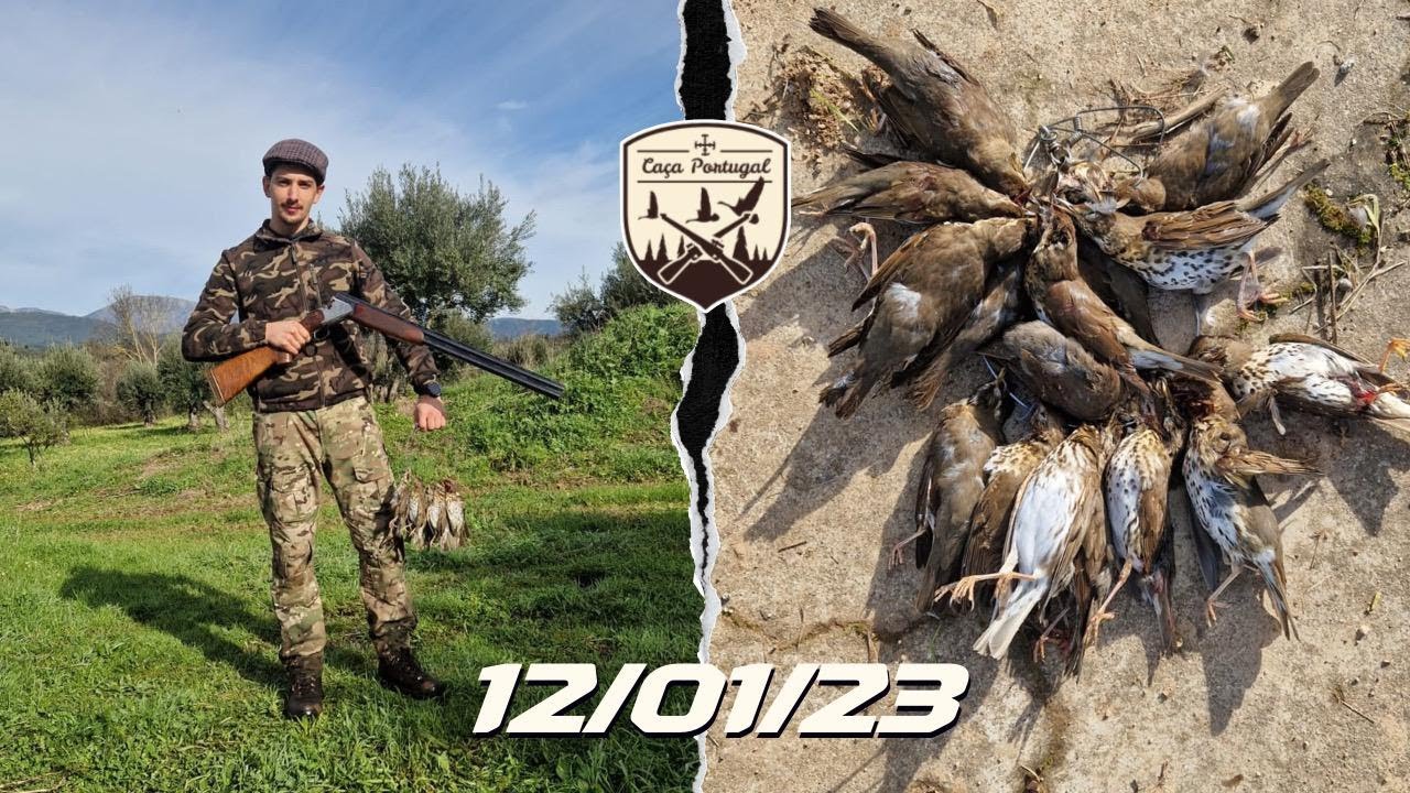 CAÇA AOS TORDOS! 12/01/2023! 4 Episódio!