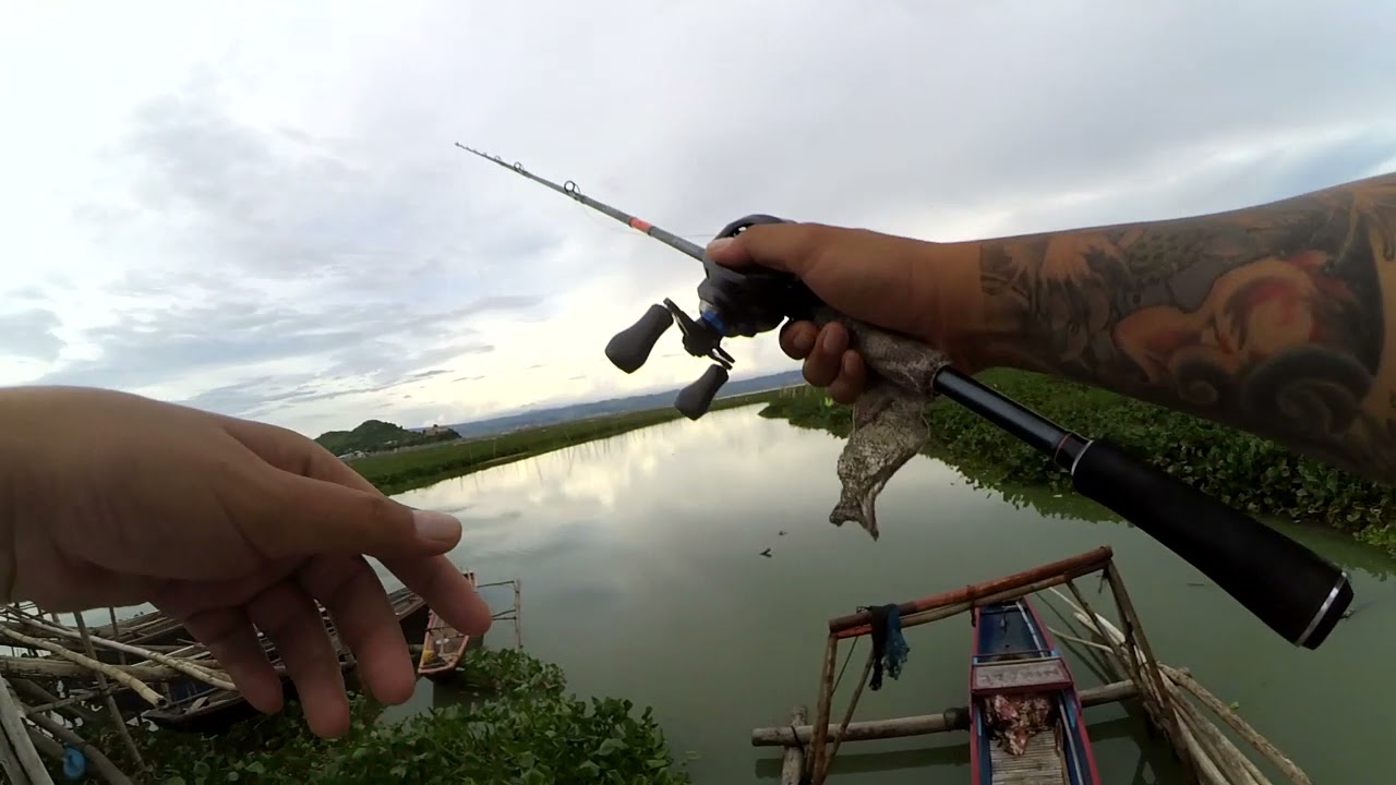 Snakehead Topwater Strike