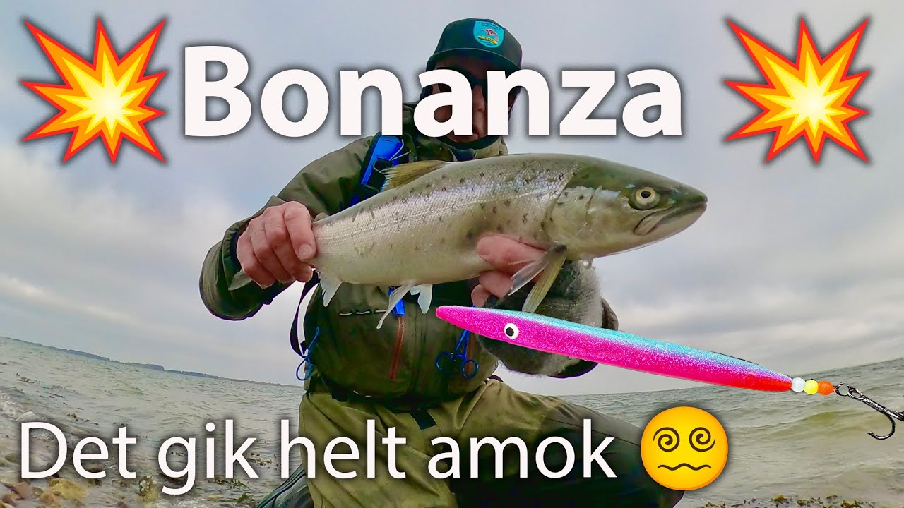 Bonanza 💥 Havørred fiskeri 🎣 det stak helt af på den Ölands wobler 🐟